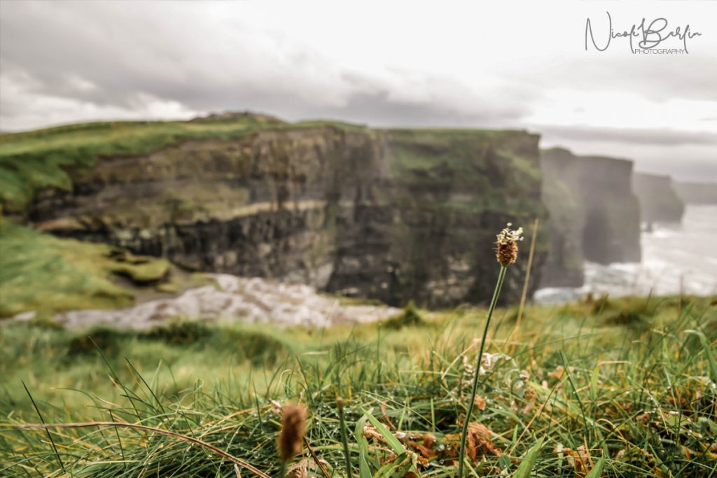 travel-cliffs-of-moher-02